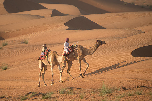 Désert Oman-6057