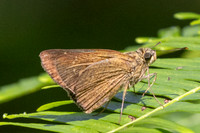 8M0A9903