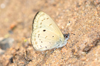 Una usta-6048
