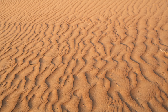 Désert Oman-6016