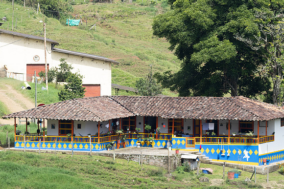 Jardin-4862