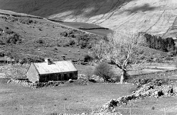 Paysage irlandais