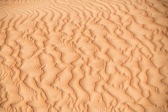 Désert Oman-6117