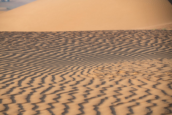 Désert Oman-6045