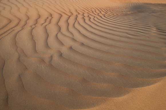 Désert Oman-5774