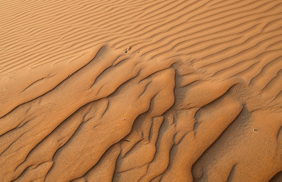 Désert Oman-5991 (2)