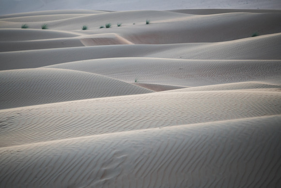 Désert Oman-5809