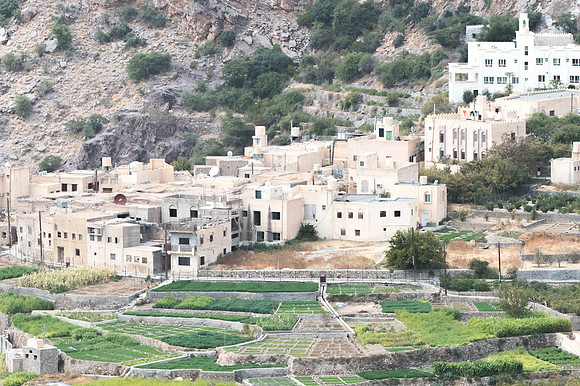 Jabal Al Akhdar 4026