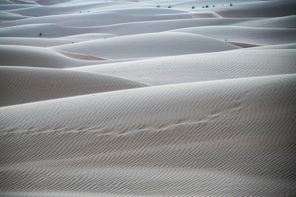 Désert Oman-5855