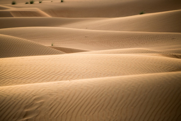 Désert Oman-5810
