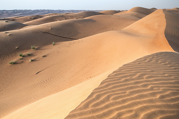 Désert Oman-5731 (2)
