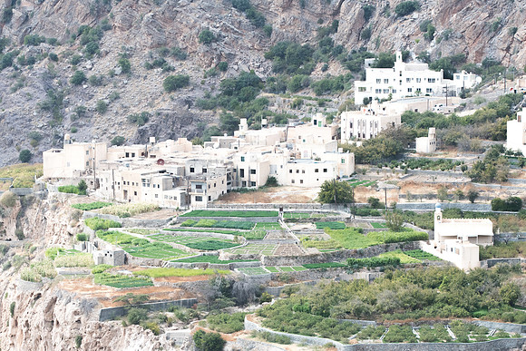 Jabal Al Akhdar_4035