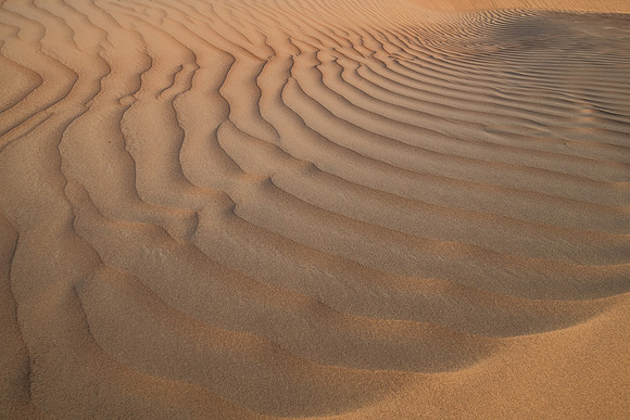 Désert Oman-5774