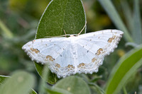 Nuit-0794