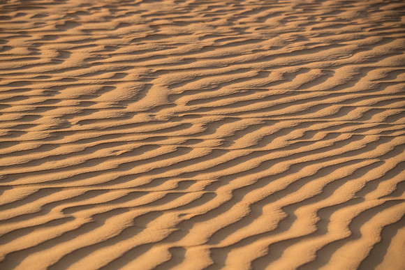 Désert Oman-6048
