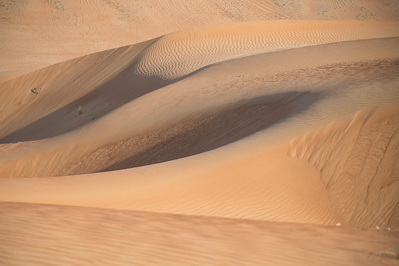 Désert Oman-5660