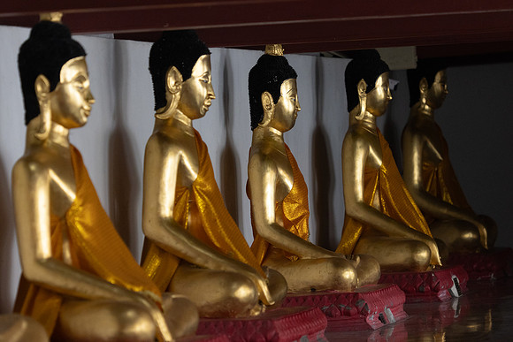 Nakhon si Thammarat-2201