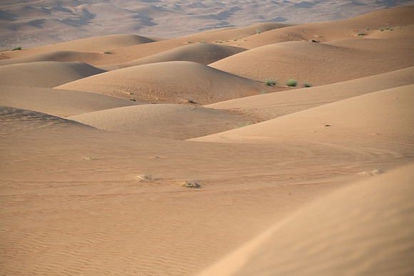 Désert Oman-5697