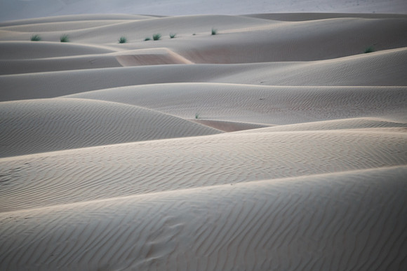 Désert Oman-5809
