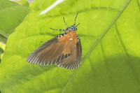 DSC_6875