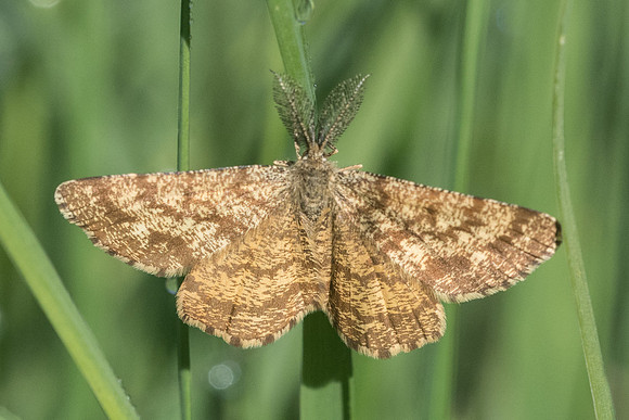 DSC_1261