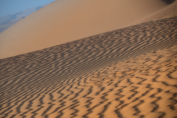 Désert Oman-6046