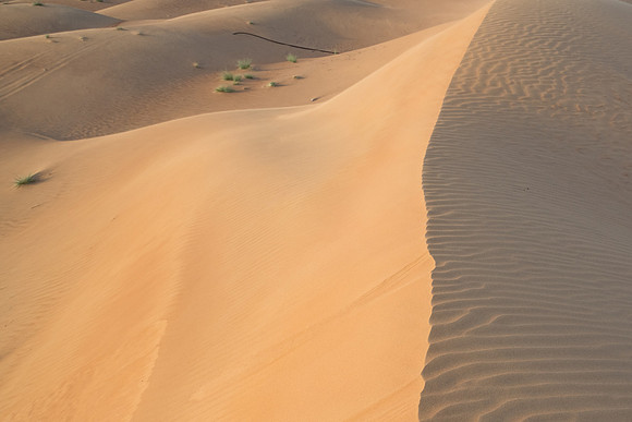 Désert Oman-5727
