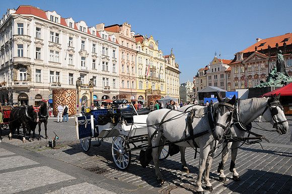 Place de la vieille ville