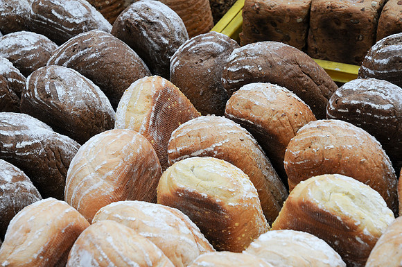 Petits pains hollandais 3912