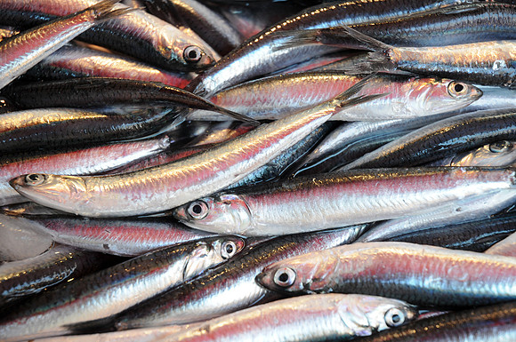 07072010-Marché poisson Catane (124)