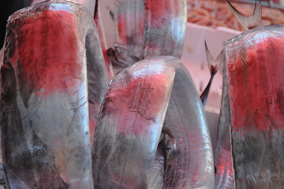 07072010-Marché poisson Catane (168)