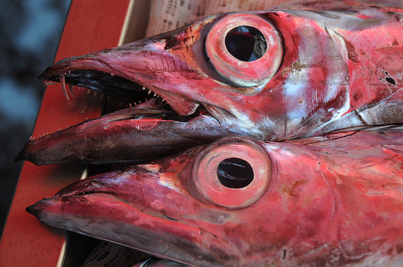 07072010-Marché poisson Catane (170)
