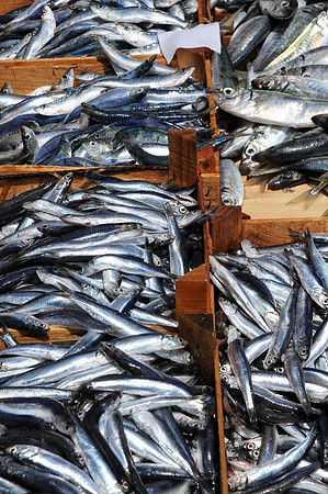 07072010-Marché poisson Catane (322)