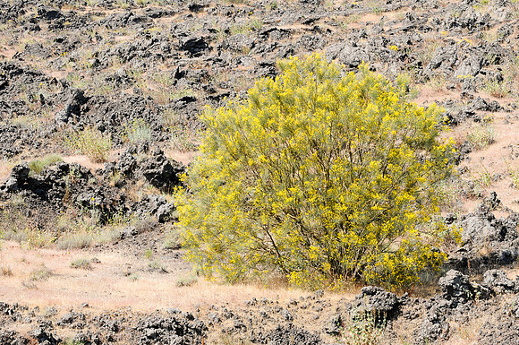 16072010-Etna Sud (39)
