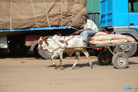 10122007-Dogondoutchi -0063