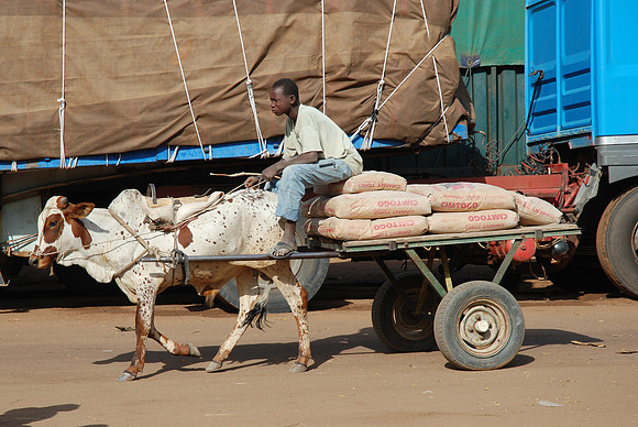 10122007-Dogondoutchi -0064