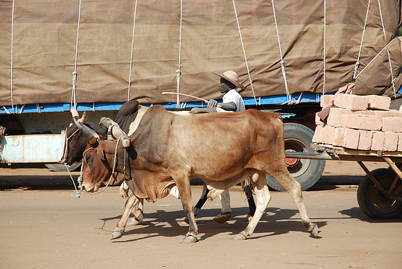 10122007-Dogondoutchi -0102
