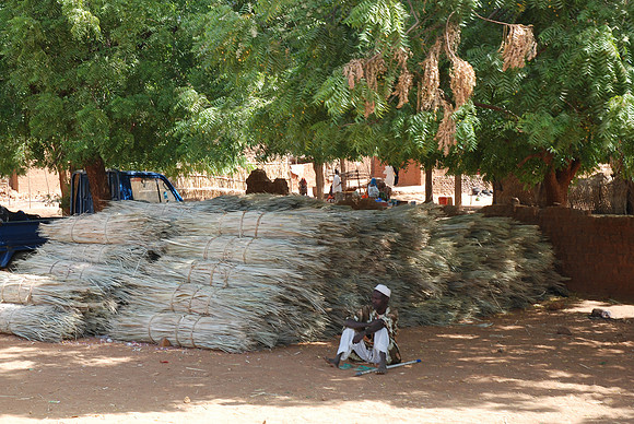 10122007-Route Niamey Tahoua-0152