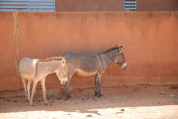 11122007-Tahoua-0272