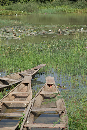 09122007-Niamey fleuve Niger-0171