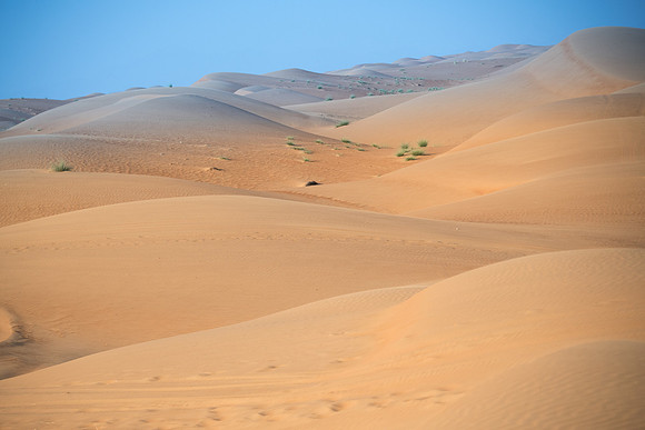 Désert Oman-5693