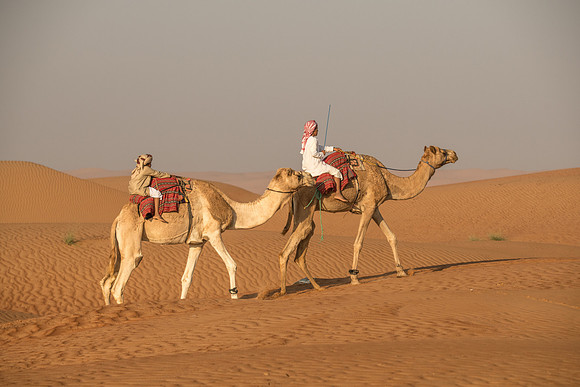 Désert Oman-6074