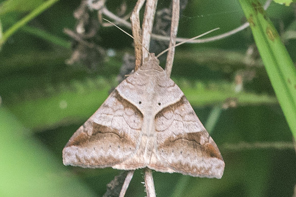 DSC_8096