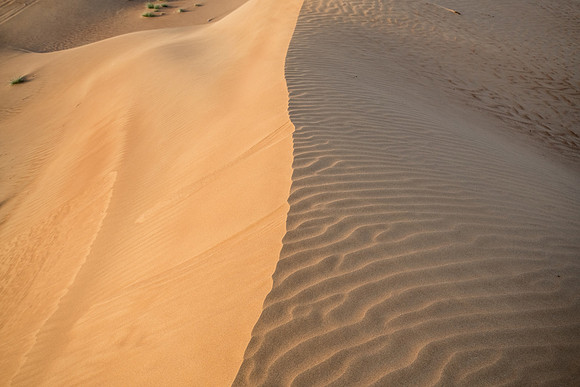 Désert Oman-5726