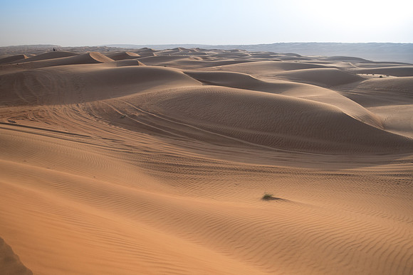 Désert Oman-5736