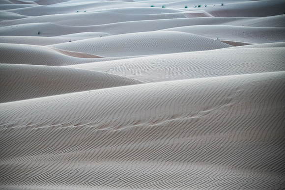 Désert Oman-5855