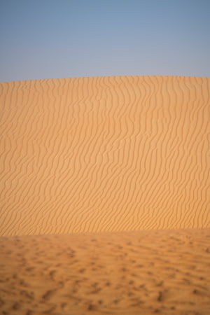 Désert Oman-6123