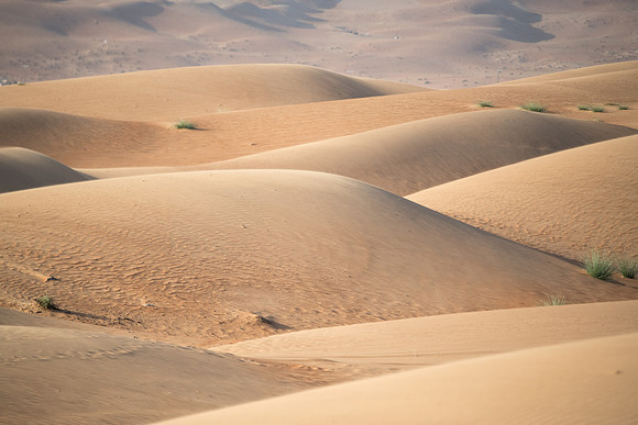 Désert Oman-5687