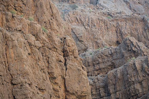 Wadi shab Oman-6338