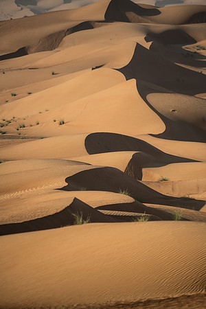 Désert Oman-6085